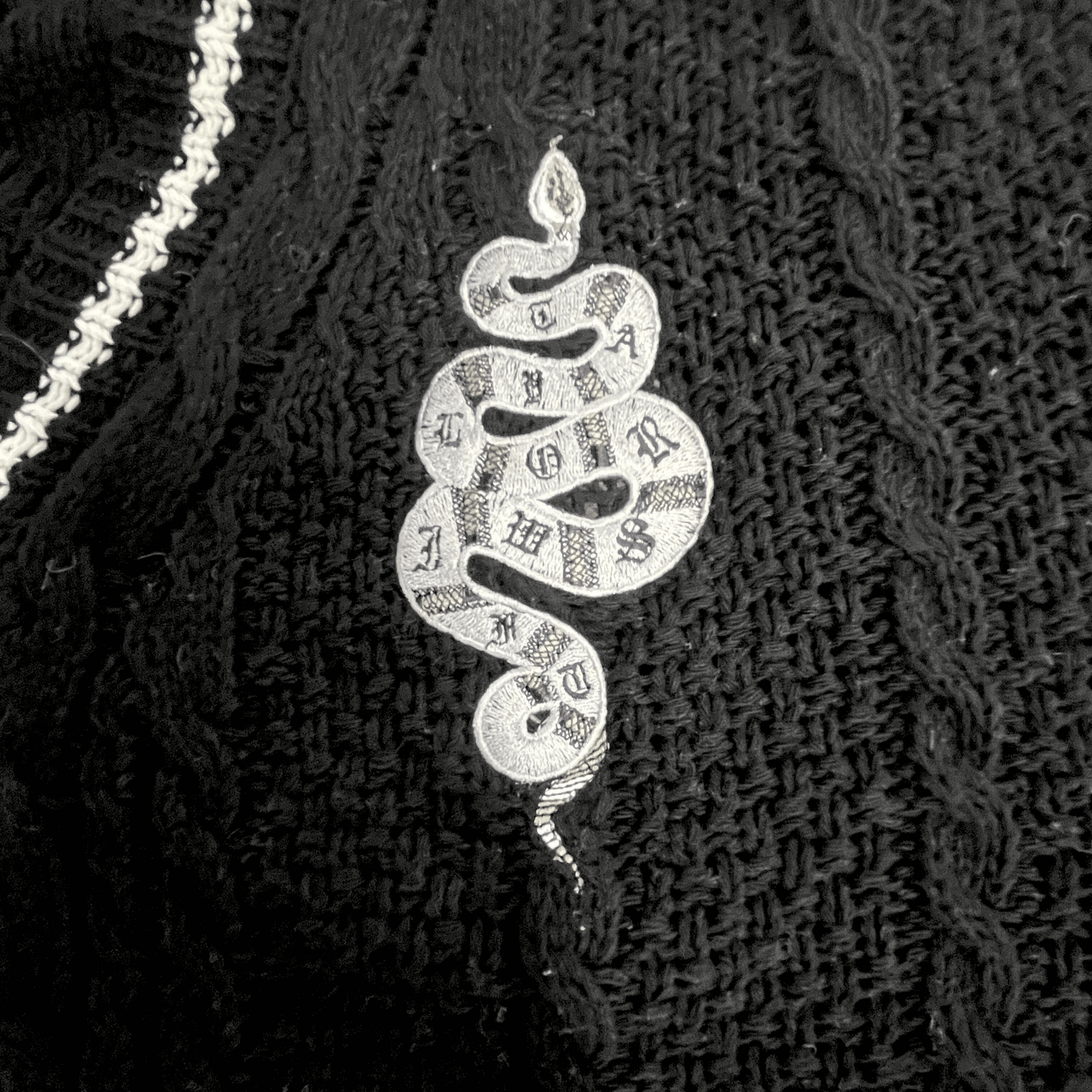 Taylor Swift Black Reputation Cardigan Snake Embroidered, Eras Tour Outfit - Shoptown Boutique